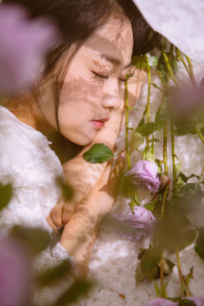 晚秋qvod